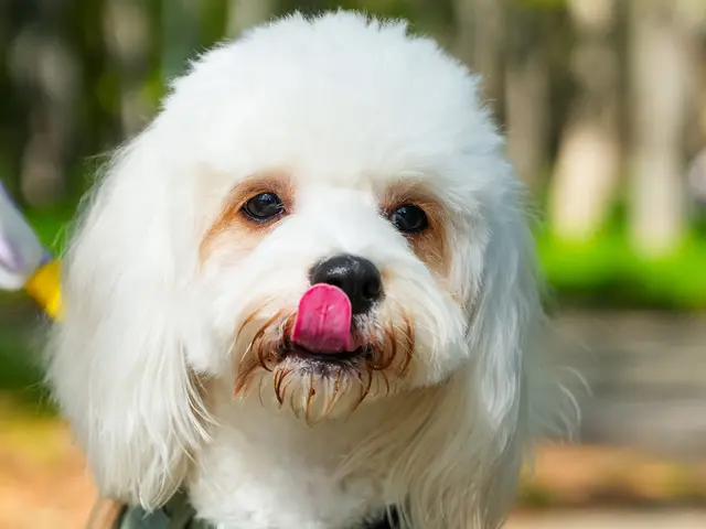 有名モデル達が通うフォトスタジオ☆三児のパパが対応★自然な笑顔を一生の宝物に☆