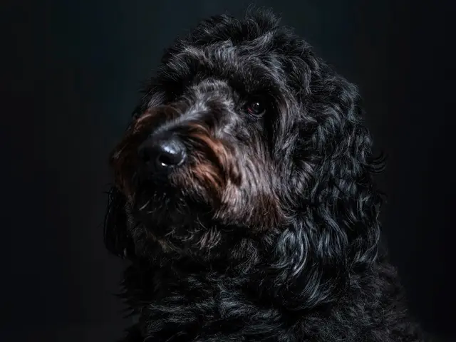 有名モデル達が通うフォトスタジオ☆三児のパパが対応★1月2月限定価格☆