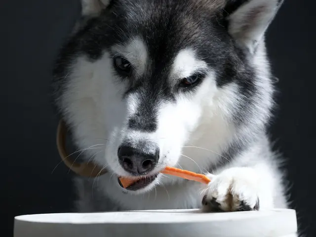 有名モデル達が通うフォトスタジオ☆三児のパパが対応★1月2月限定価格☆