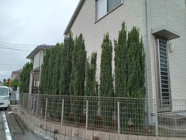 ◎お客様のご要望をお聞かせ下さい！ご要望にお答え出来る様に作業させて頂きます！サービスの画像