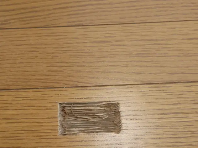 フローリング補修サービスの画像