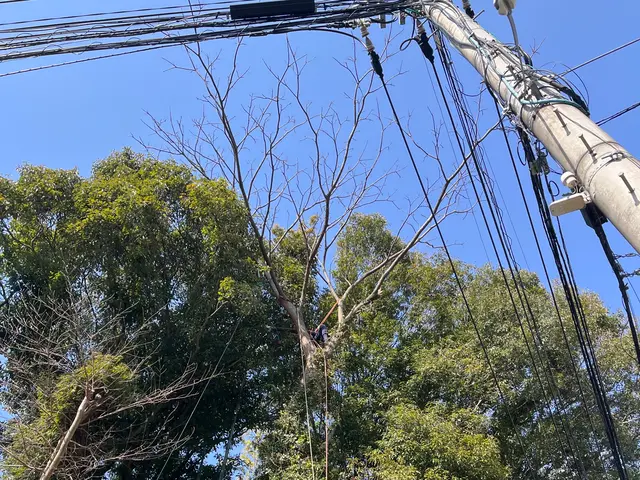 女性スタッフもおります。ご希望の方はお気軽にお声かけください♪サービスの画像