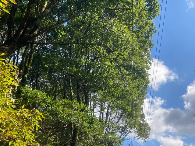 女性スタッフもおります。ご希望の方はお気軽にお声かけください♪サービスの画像