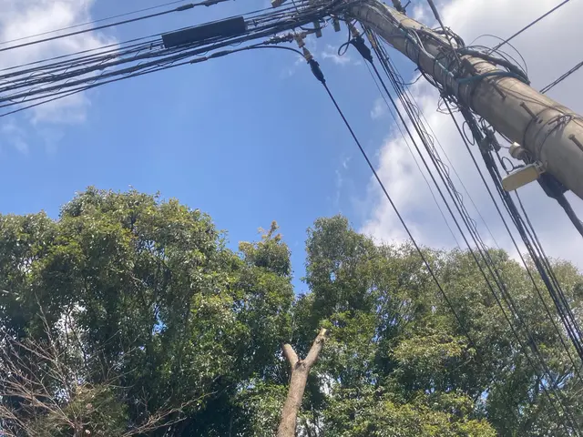 女性スタッフもおります。ご希望の方はお気軽にお声かけください♪サービスの画像