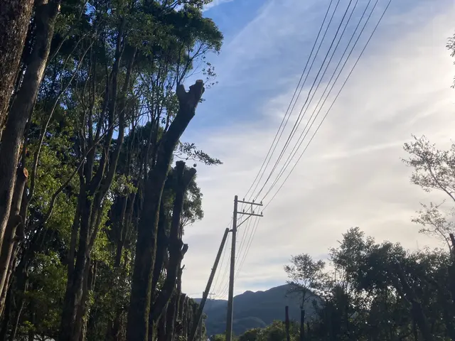 女性スタッフもおります。ご希望の方はお気軽にお声かけください♪サービスの画像