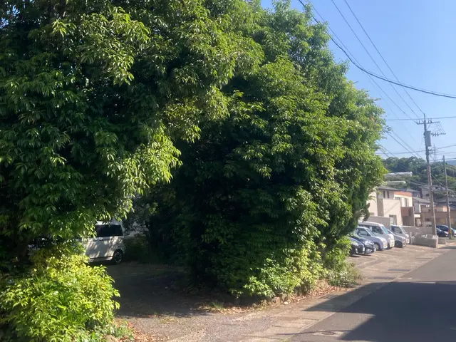 女性スタッフもおります。ご希望の方はお気軽にお声かけください♪サービスの画像