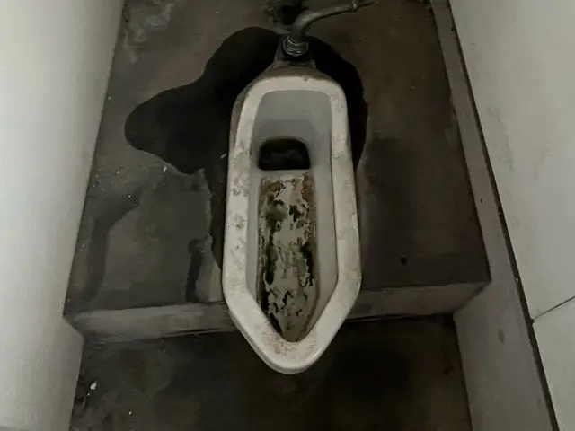 忙しいあなたに代わって、清潔を守りますサービスの画像