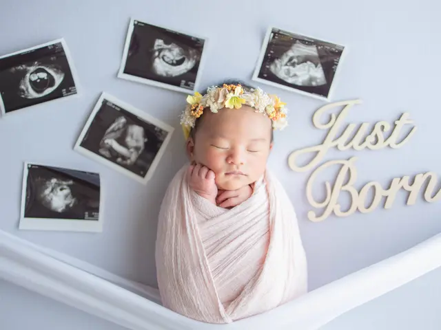 3児のママカメラマンが撮る、家族の"今"｜自然光で紡ぐ、やわらかな記憶サービスの画像