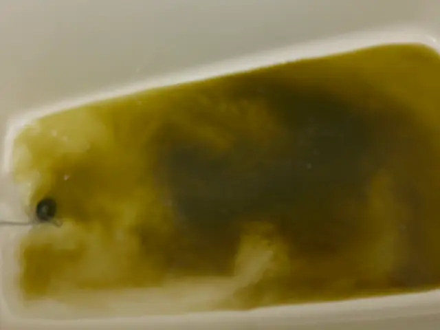 配管内の汚れを除去＆除菌！　　　追い焚配管洗浄(1つ穴のみ対応可)サービスの画像