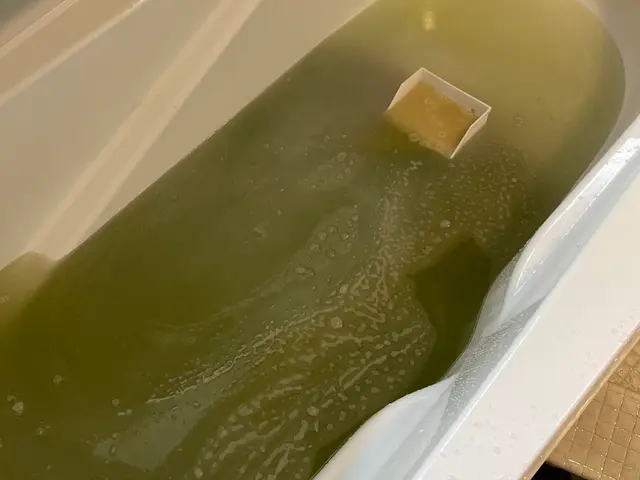 配管内の汚れを除去＆除菌！　　　追い焚配管洗浄(1つ穴のみ対応可)サービスの画像