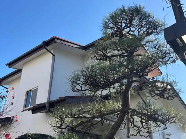 【CODIT理論】30年の経験と何千本の実績！CODIT剪定で樹木に優しいサービスの画像