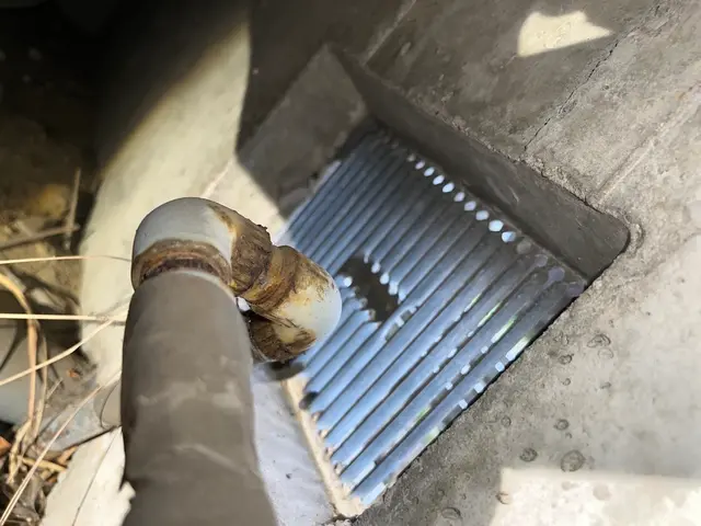 【本日空き有り】成虫駆除から侵入対策まで幅広く一括対応！年間３０００件以上サービスの画像