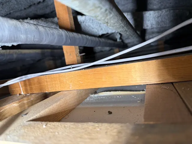 【本日空き有り】成虫駆除から侵入対策まで幅広く一括対応！年間３０００件以上サービスの画像