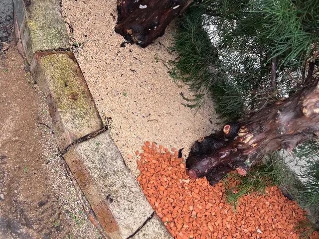 年中無休！近隣の方々にご迷惑にならないよう対応しますサービスの画像