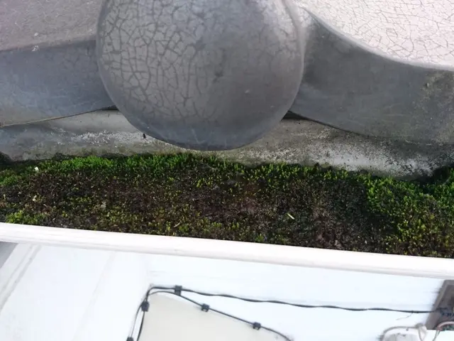 雨樋清掃・交換サービスの画像