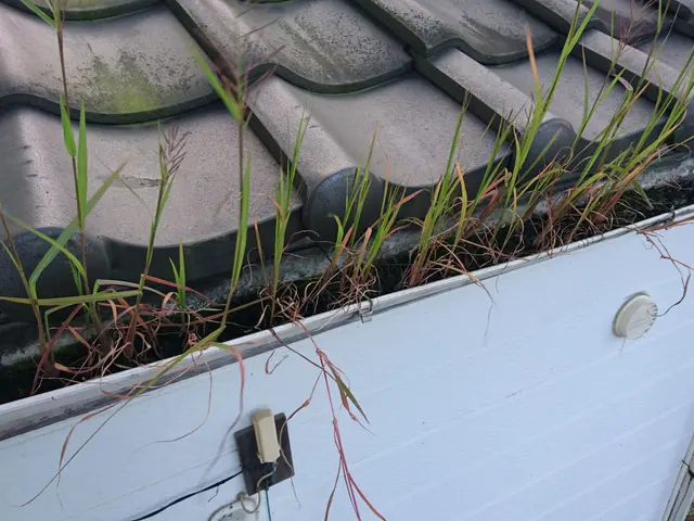 雨樋清掃・交換サービスの画像