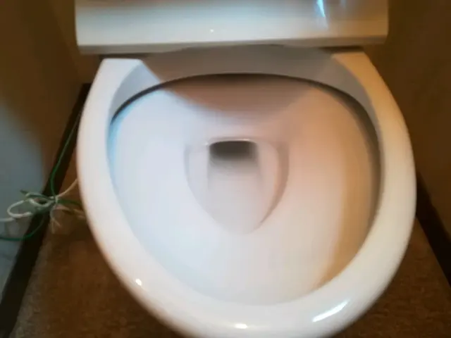 夏季休暇中対応可！サービスの画像