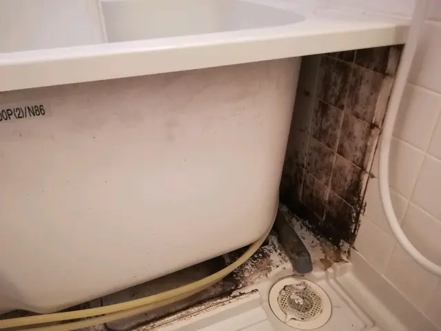 夏季休暇中対応可！サービスの画像