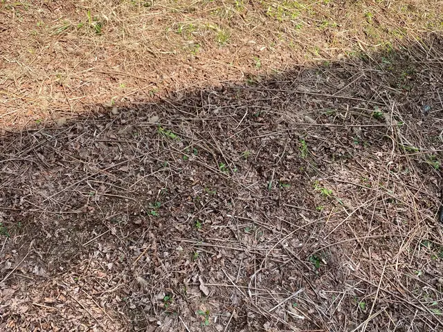 ◆即レス・即対応・無料見積OK◆草刈りお任せください！サービスの画像