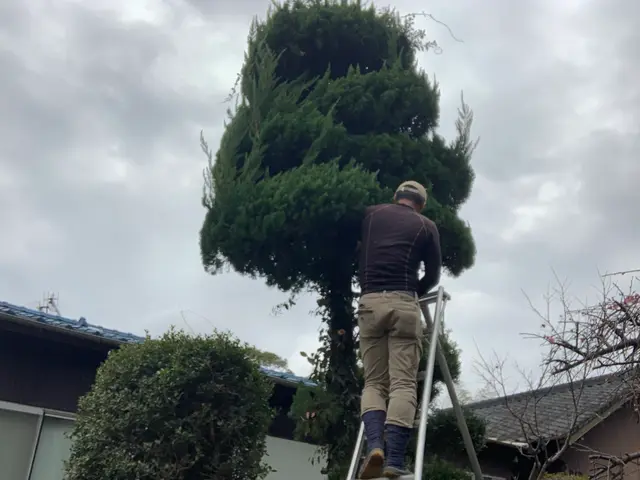 2月新出店◎30年以上の実績　一級造園施工管理技士｜造園全般◎庭づくり◎【京都郡サービスの画像