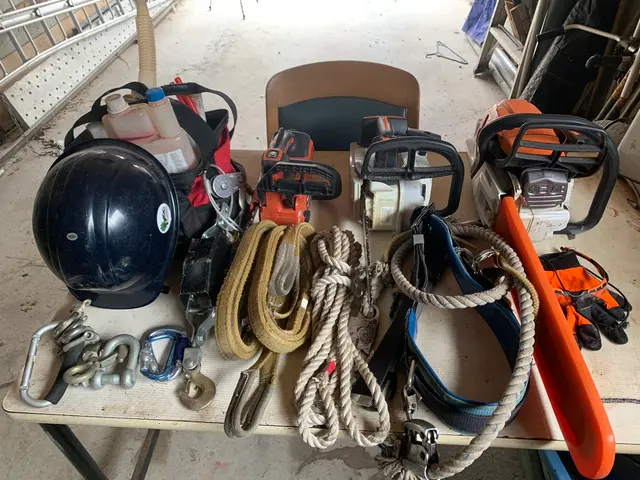 2月新出店◎30年以上の実績　一級造園施工管理技士｜造園全般◎庭づくり◎【京都郡サービスの画像