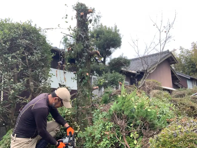 2月新出店◎30年以上の実績　一級造園施工管理技士｜造園全般◎庭づくり◎【京都郡サービスの画像
