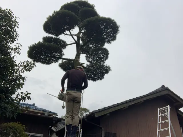 2月新出店◎30年以上の実績　一級造園施工管理技士｜造園全般◎庭づくり◎【京都郡サービスの画像