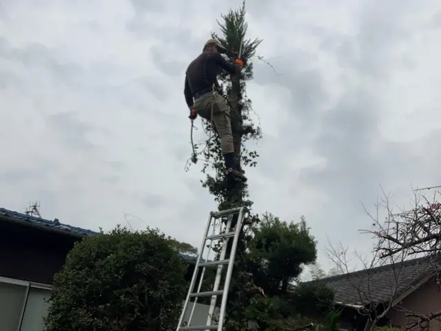 2月新出店◎30年以上の実績　一級造園施工管理技士｜造園全般◎庭づくり◎【京都郡サービスの画像