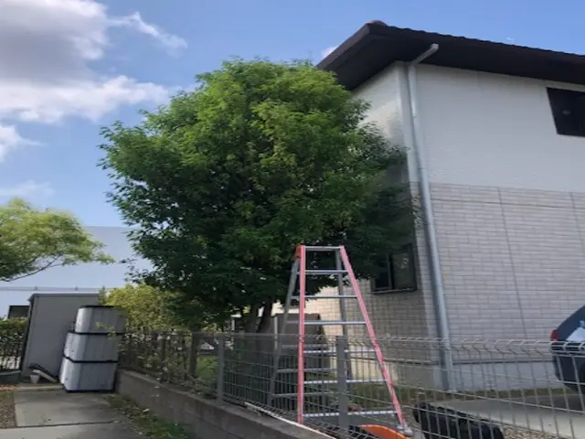 ◆女性スタッフ必ず同行◆お庭を綺麗にスッキリしませんか？ご相談だけでもOKです☆サービスの画像