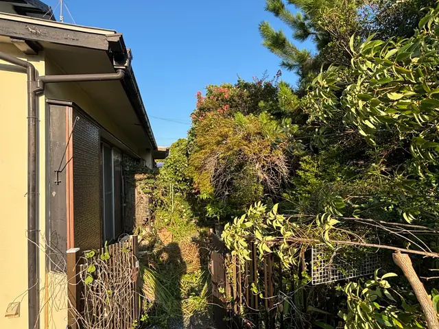 【圧倒的な対応力が売り】庭木の伐採承ります！サービスの画像