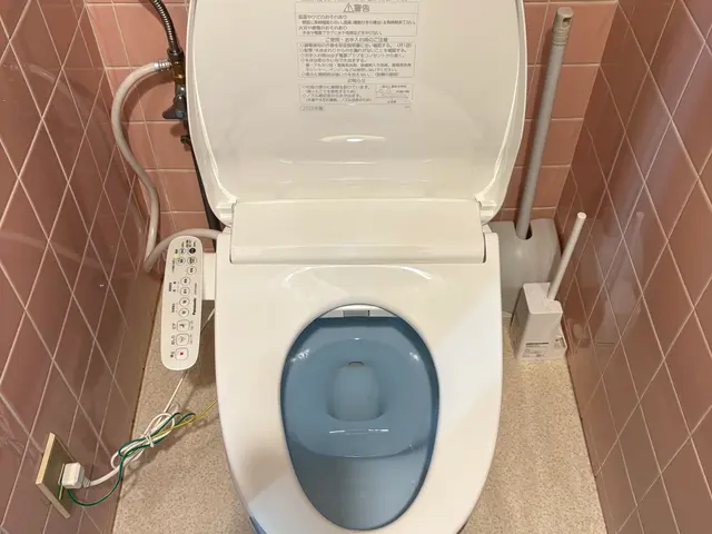 ウォシュレット、暖房便座交換即日対応OK！サービスの画像