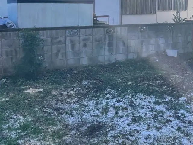 庭木、森林伐採などお任せ下さい！サービスの画像