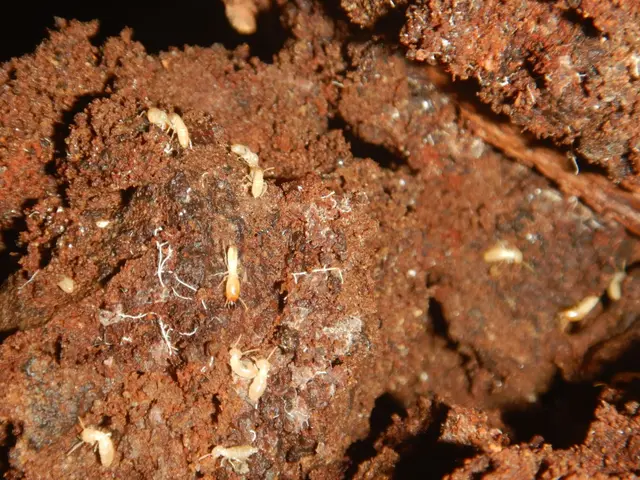 ★（株）相模総合住設★業界20年超★5年保証★施工記録写真お渡し★アフターケア付サービスの画像