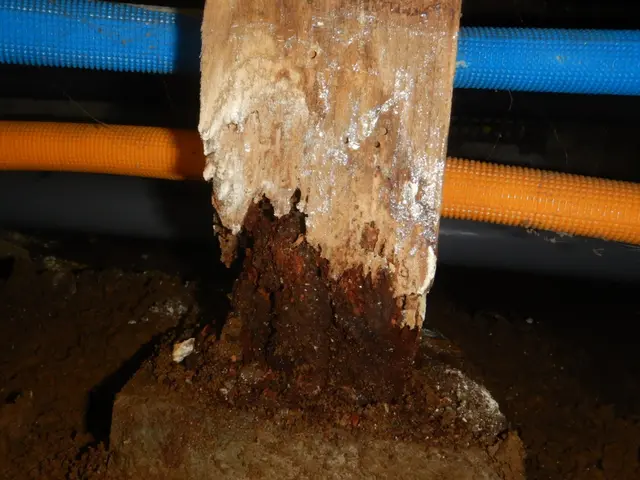 ★（株）相模総合住設★業界20年超★5年保証★施工記録写真お渡し★アフターケア付サービスの画像