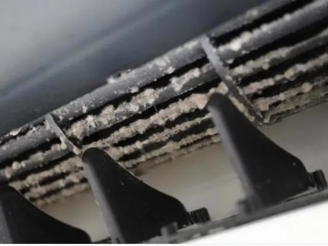 【業歴15年の経験と実績！】《消臭コートサービス中！！2台目以降割引有り！！》サービスの画像