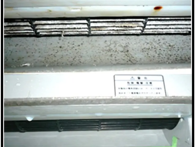 【只今キャンペーン中】人気テレビ番組出演200店舗の安心FC店舗!カード使用可サービスの画像