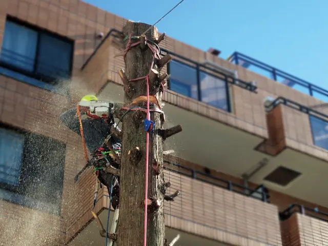 台風被害対応可能！バッテリーチェンソーの使用で騒音を出しません！サービスの画像