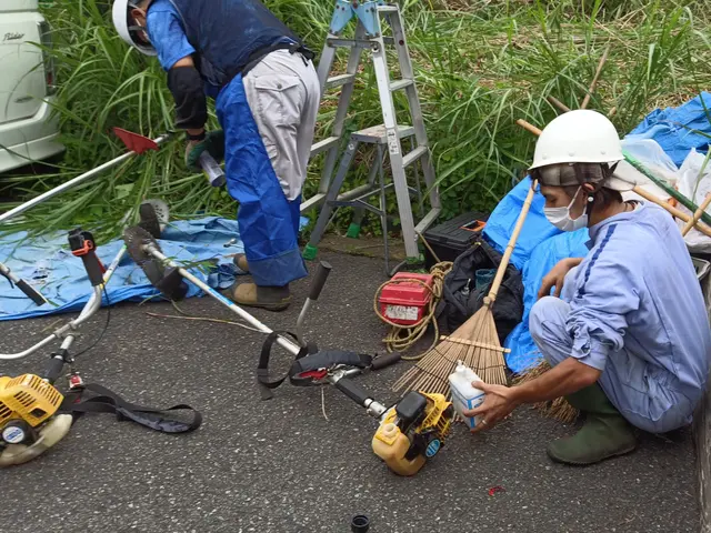 草刈り機使用による草刈りサービスの画像