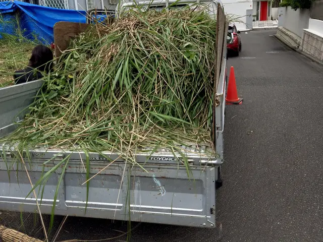 草刈り機使用による草刈りサービスの画像