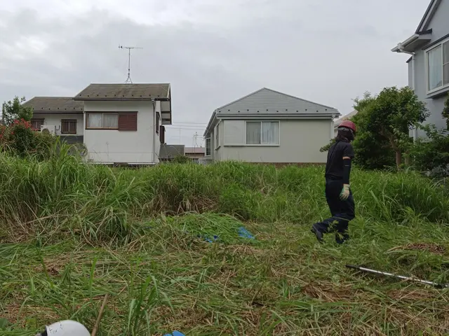 草刈り機使用による草刈りサービスの画像