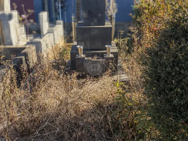 お助け隊 真心｜お墓参り・草刈り・片付けサービスの画像