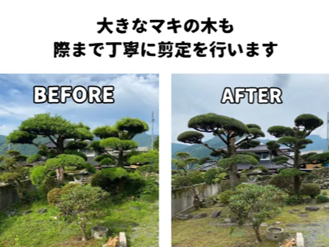 お客様の思いを形に！店長自らが責任をもって行う庭木剪定サービスサービスの画像
