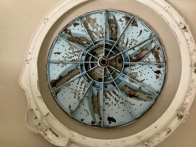 ビートウォッシュ完全分解可！ビフォーアフターをお見せします。サービスの画像