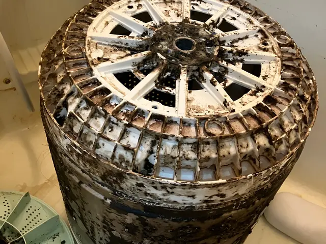 ビートウォッシュ完全分解可！ビフォーアフターをお見せします。サービスの画像