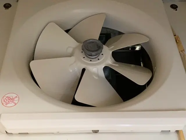 レビュー投稿してくれる方限定★通常価格12000円→10000円でのご案内！サービスの画像