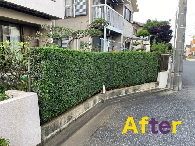 【柏発】明治から続く老舗の技術！松の手入れもおまかせください(*^^*)サービスの画像