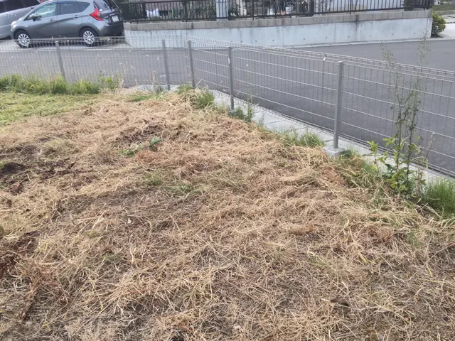 嫌な雑草対策お任せください！サービスの画像