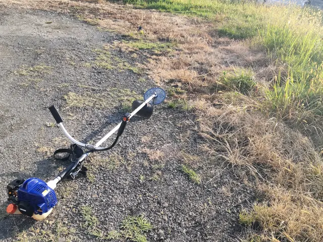 嫌な雑草対策お任せください！サービスの画像