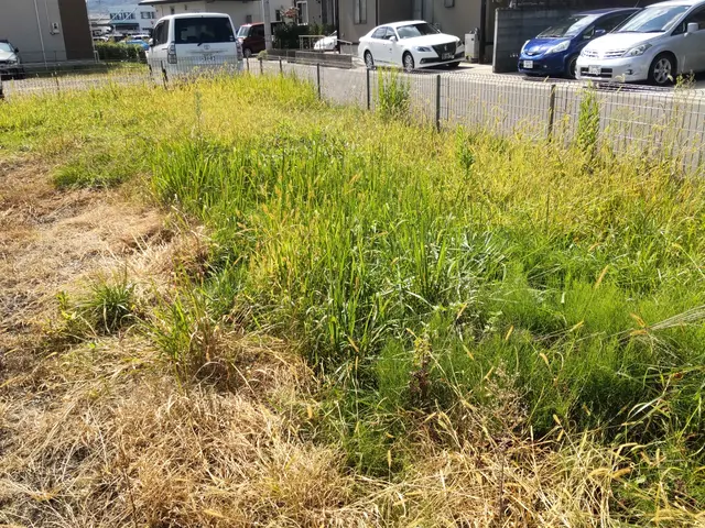 嫌な雑草対策お任せください！サービスの画像