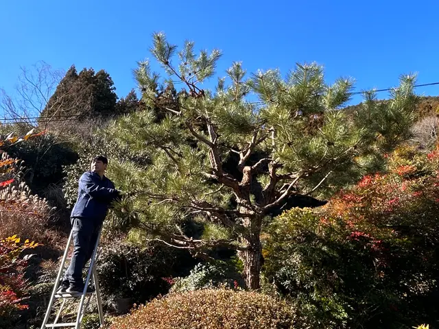 どんな人が来てくれるのか不安な貴方。ブログをご参照ください♪サービスの画像